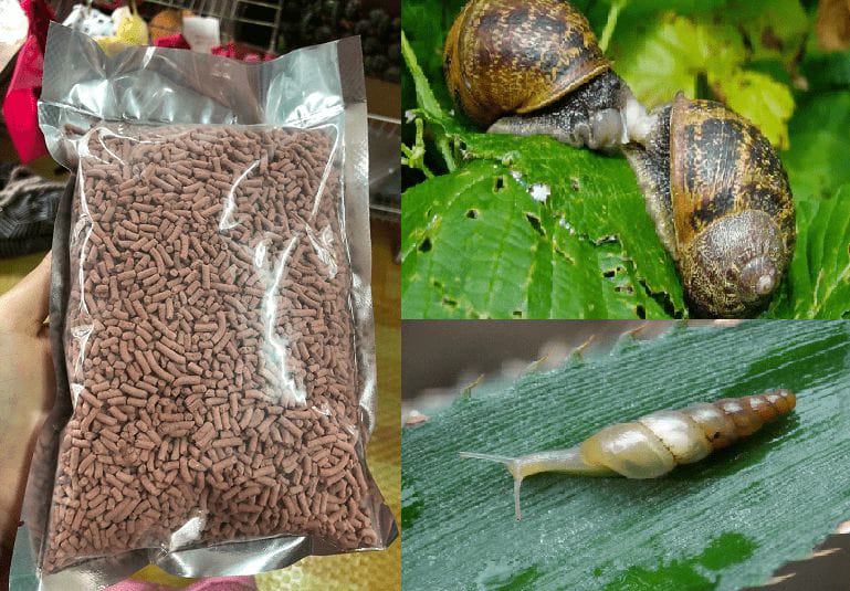 Racun Siput Repack [ Siputox ]