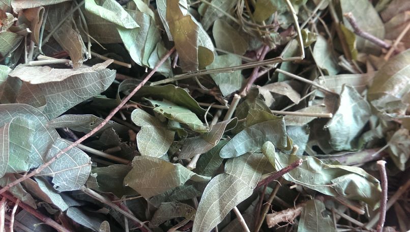 Herba Berkualiti Tinggi