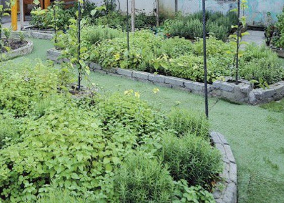 Herb Garden