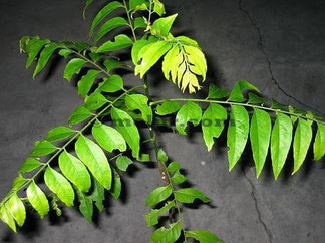 Cemumar