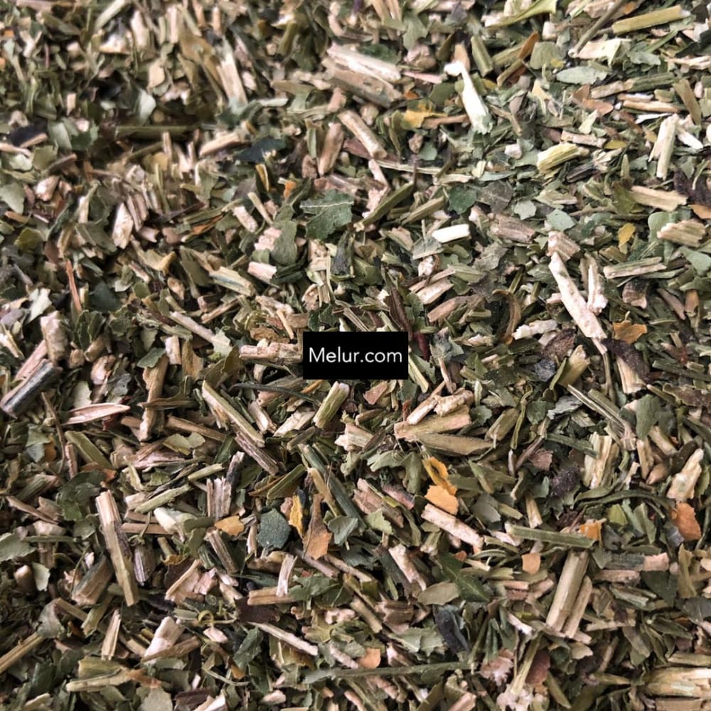 100 G Hempedu Bumi Kering (Kisar)