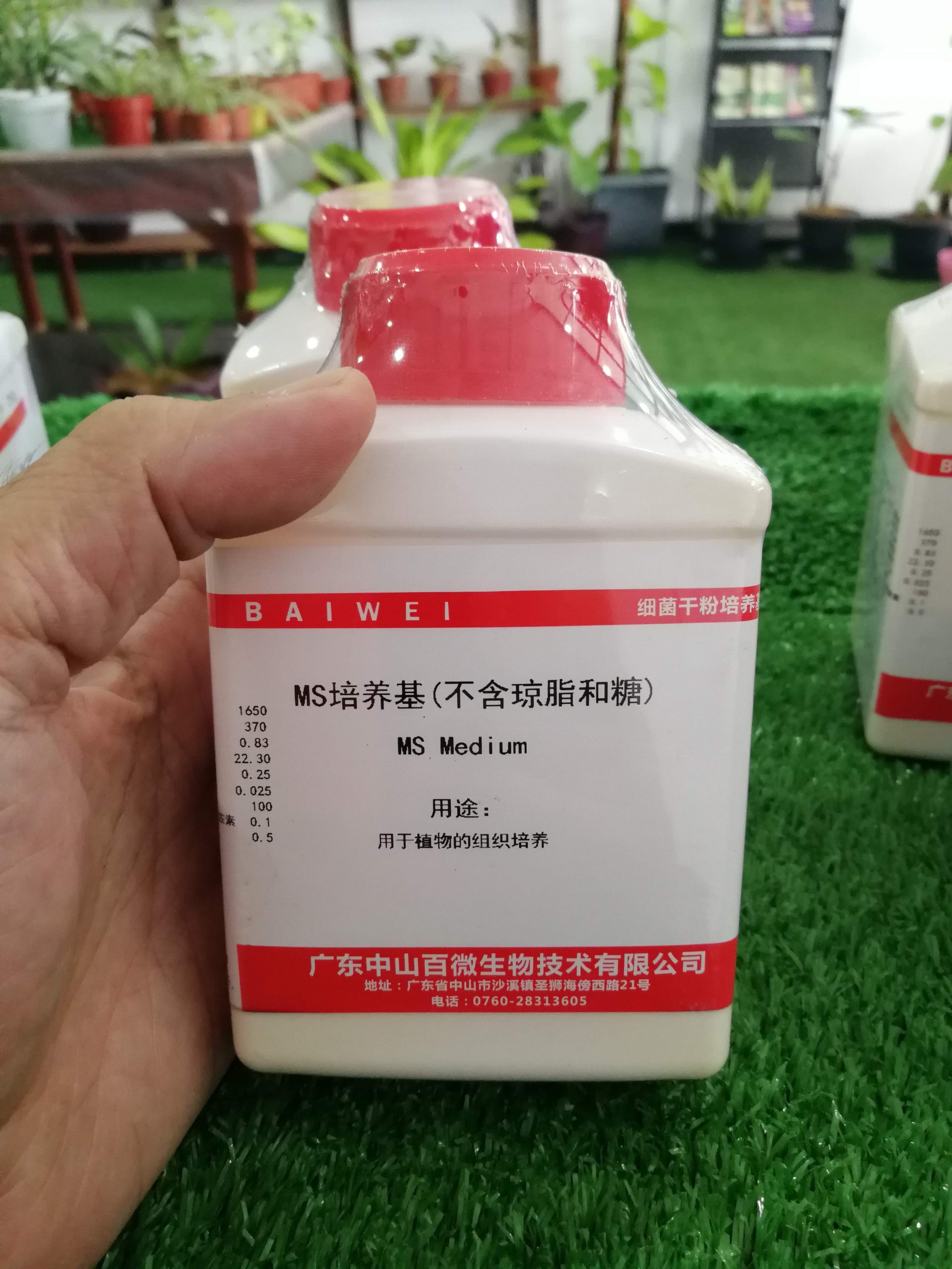 Murashige and Skoog medium (MS) With Sugar and Agar - 250g