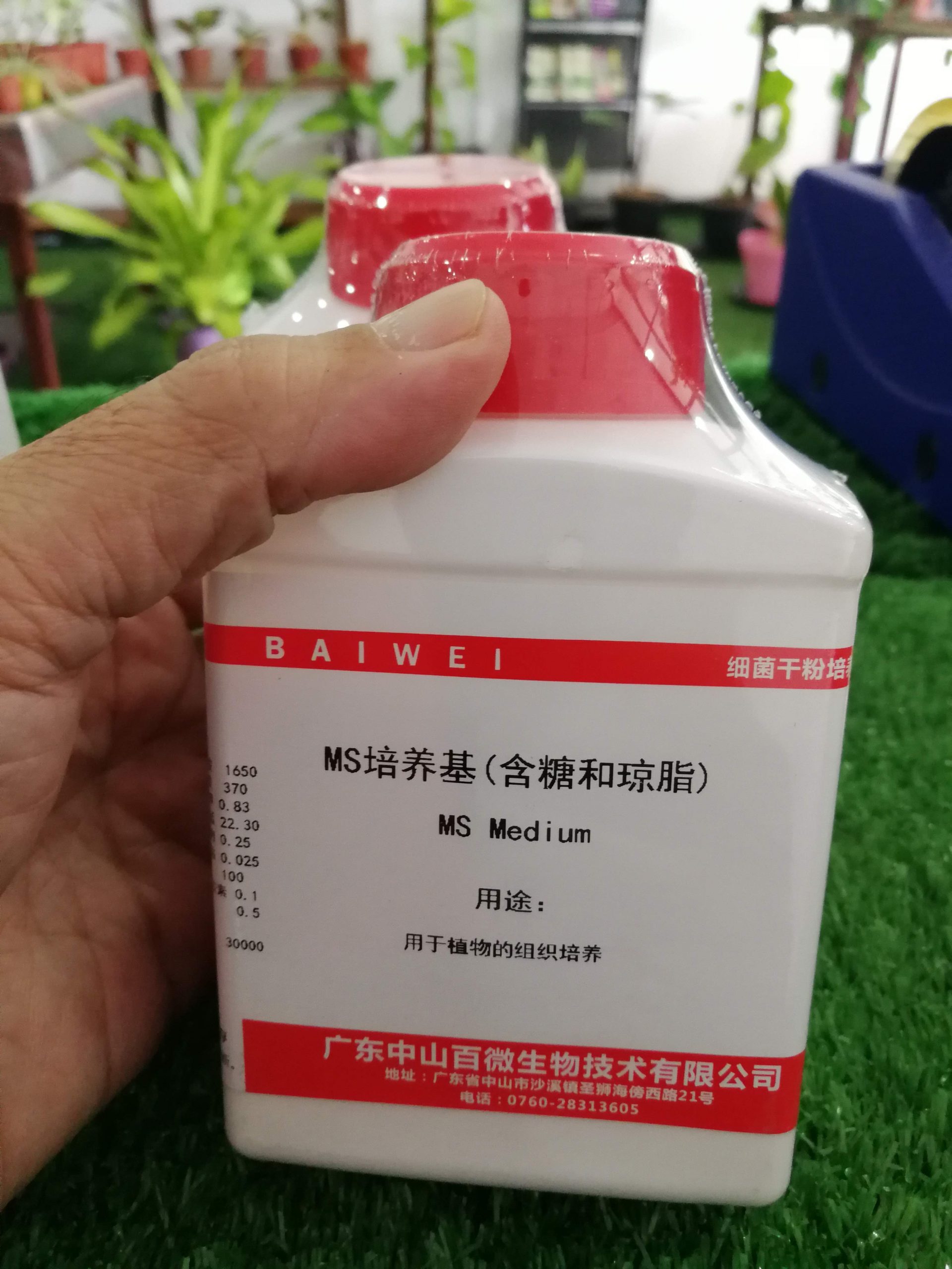 Murashige and Skoog medium (MS) Without Sugar and Agar - 250g