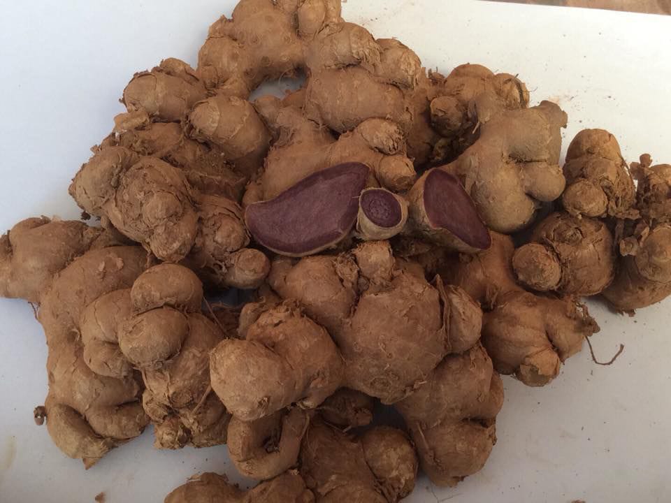 Rizom Kunyit Hitam Thai |Laos | 100G