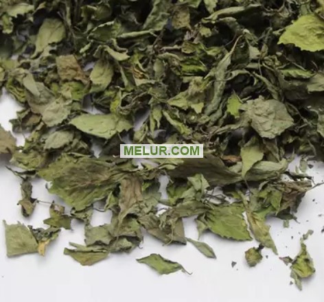 dried herb suppliers