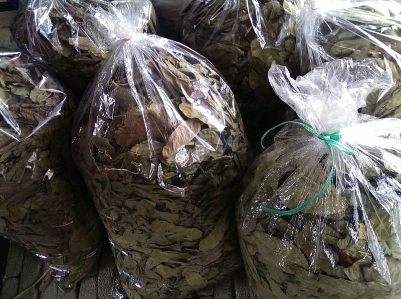 Local leading herbs supplier